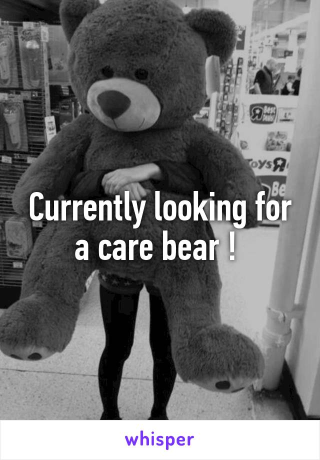 Currently looking for a care bear ! 