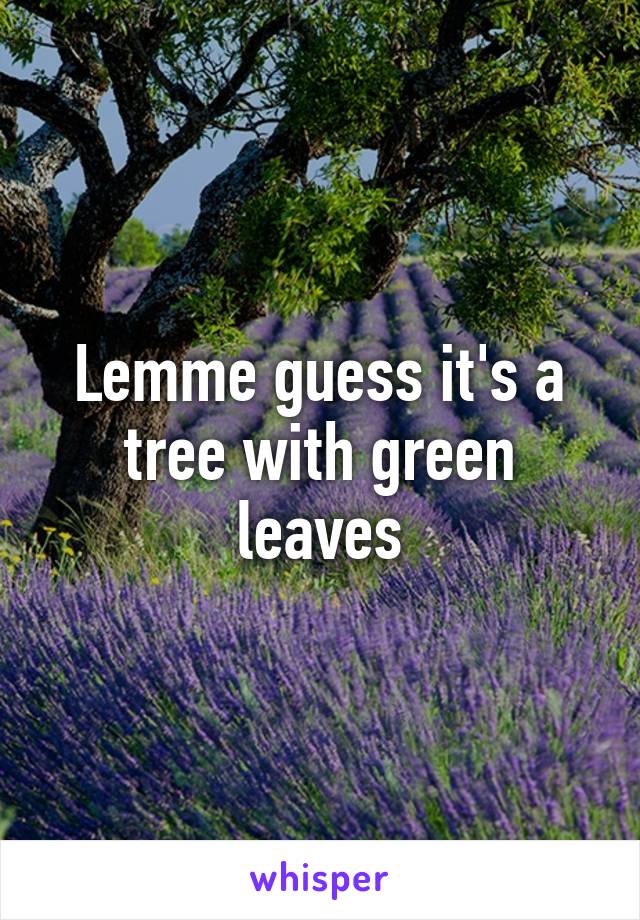 Lemme guess it's a tree with green leaves