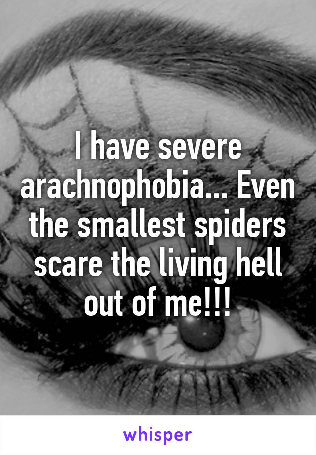 I have severe arachnophobia... Even the smallest spiders scare the living hell out of me!!!