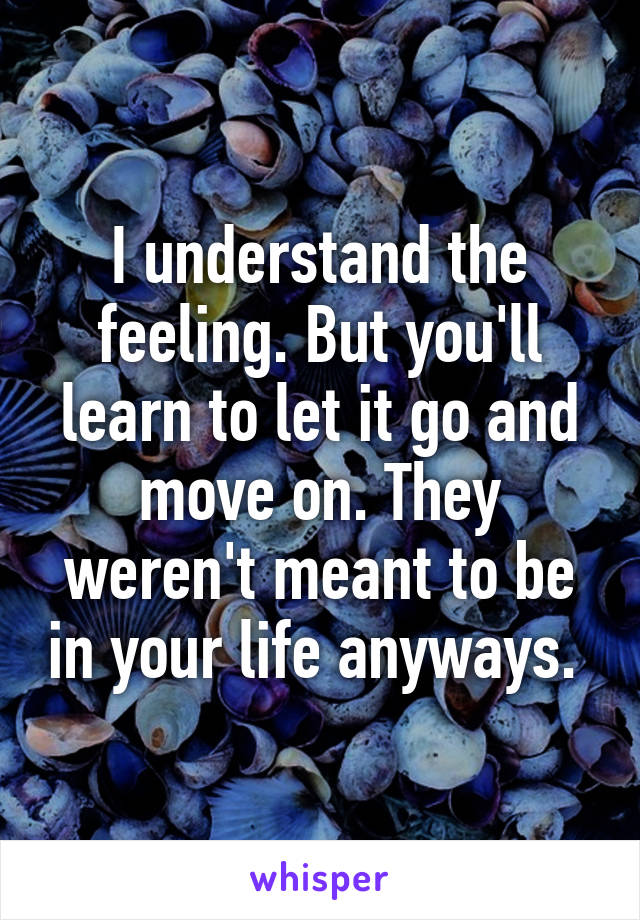 I understand the feeling. But you'll learn to let it go and move on. They weren't meant to be in your life anyways. 