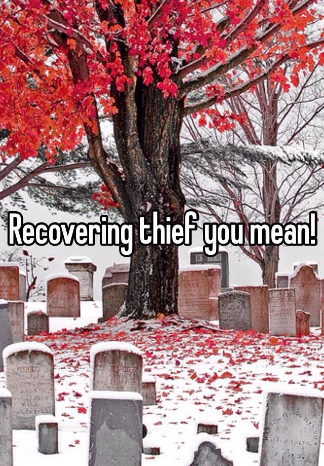 recovering-thief-you-mean