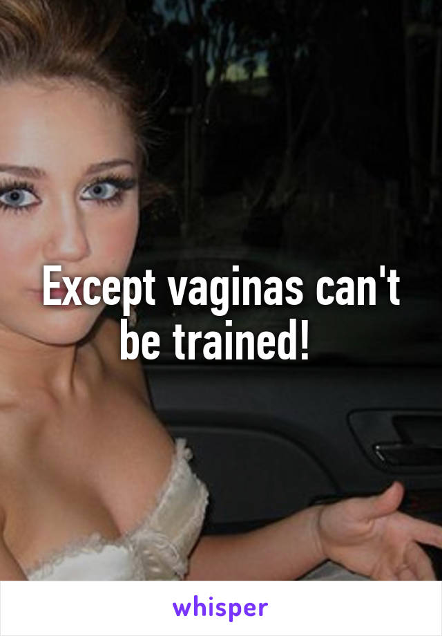 Except vaginas can't be trained! 