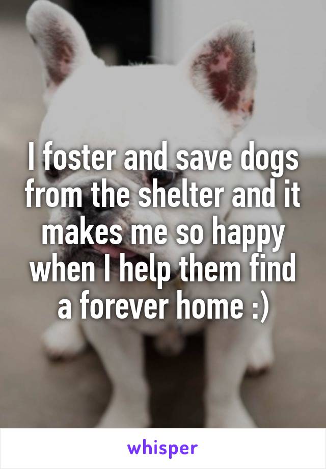 I foster and save dogs from the shelter and it makes me so happy when I help them find a forever home :)