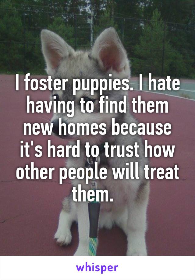 I foster puppies. I hate having to find them new homes because it's hard to trust how other people will treat them.  