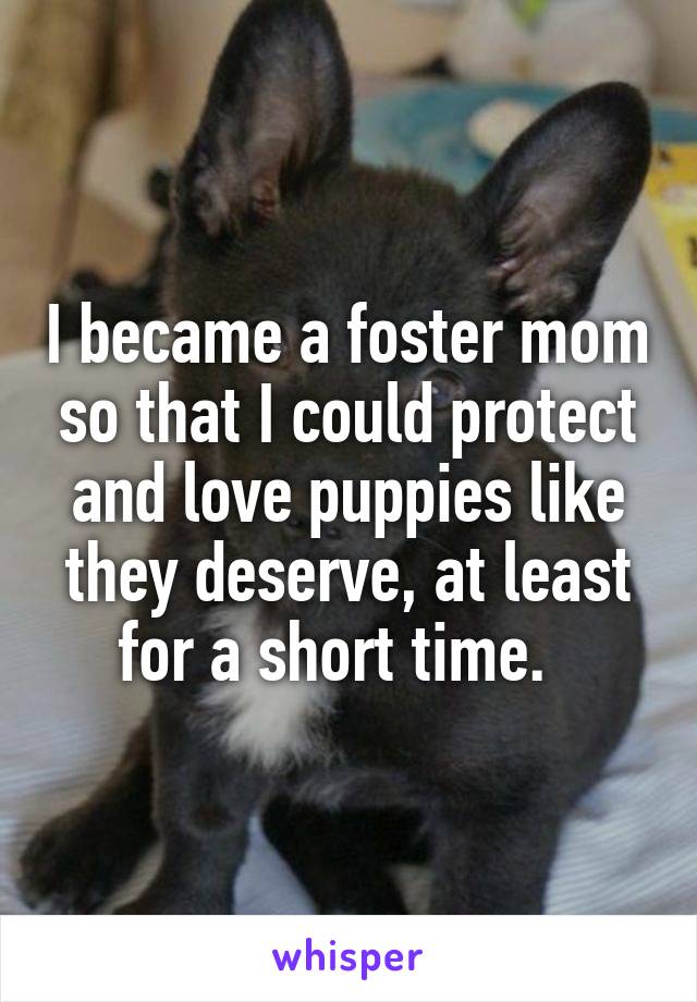 I became a foster mom so that I could protect and love puppies like they deserve, at least for a short time.  