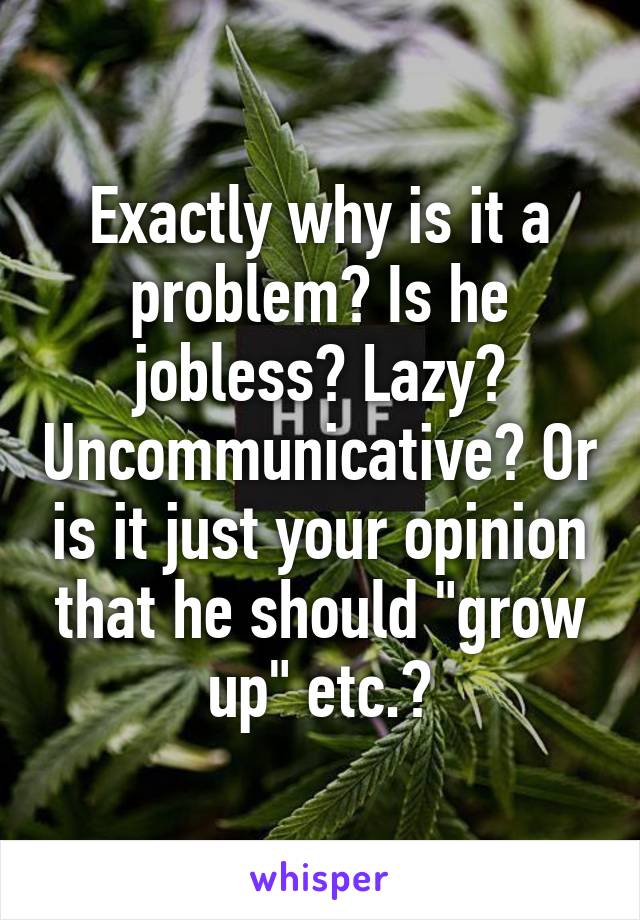 Exactly why is it a problem? Is he jobless? Lazy? Uncommunicative? Or is it just your opinion that he should "grow up" etc.?