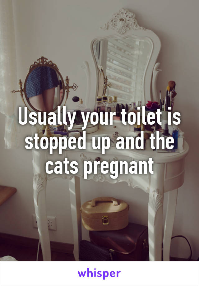 Usually your toilet is stopped up and the cats pregnant