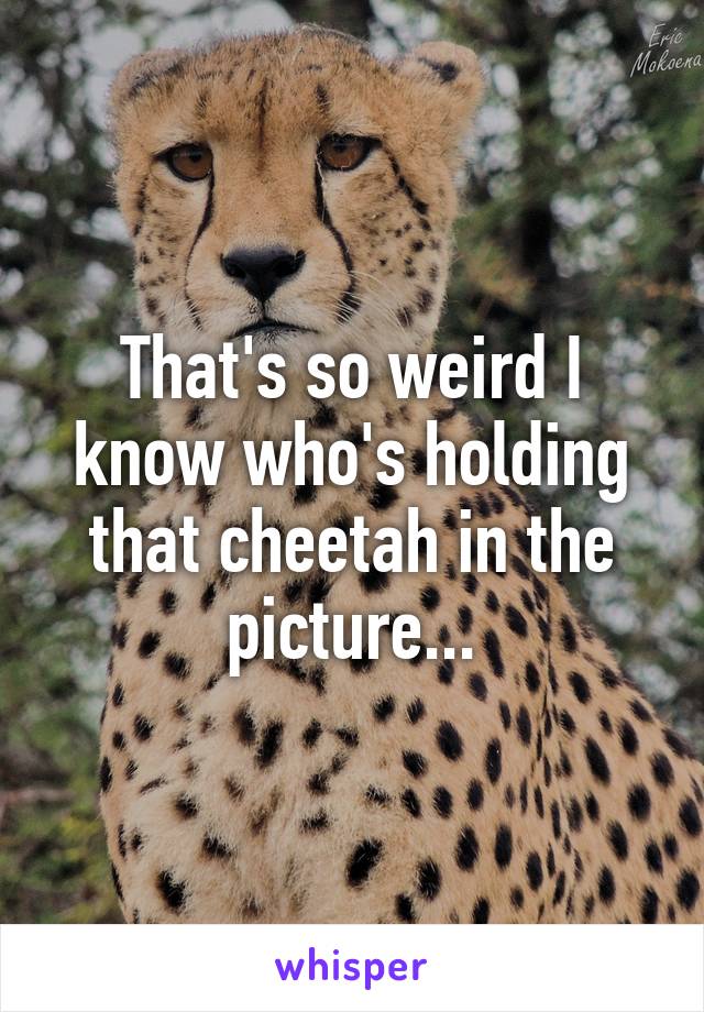 That's so weird I know who's holding that cheetah in the picture...