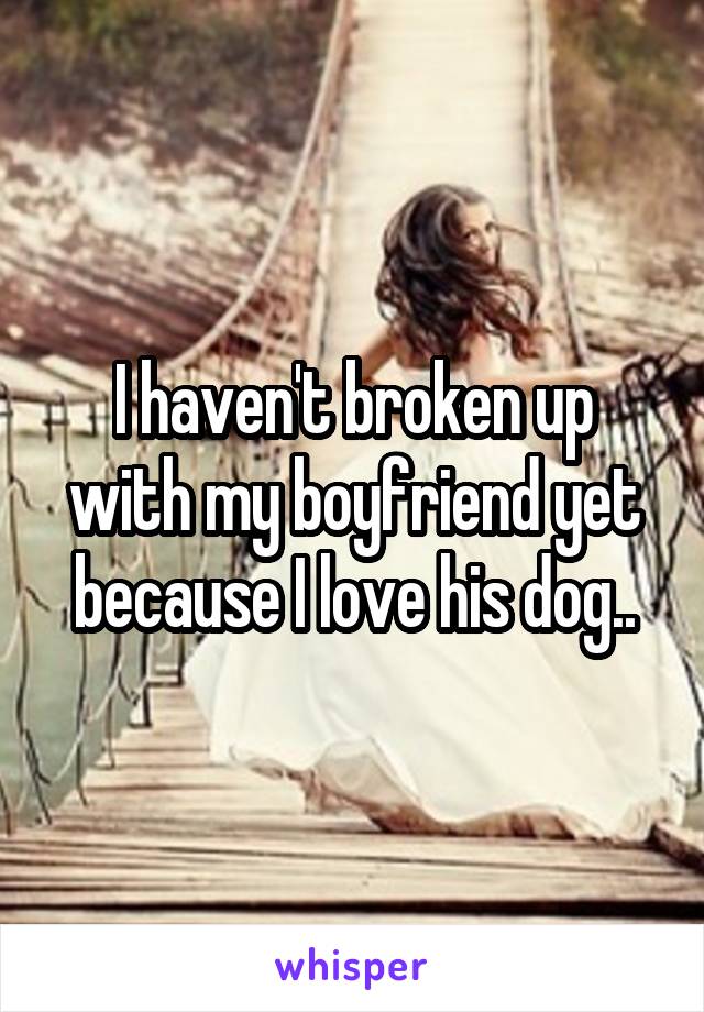 I haven't broken up with my boyfriend yet because I love his dog..