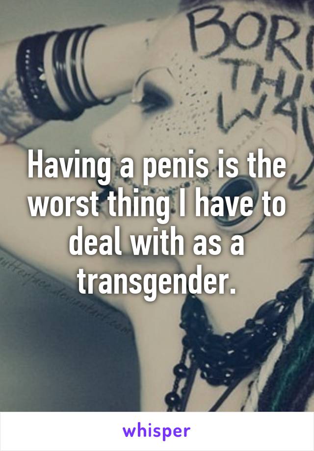 Having a penis is the worst thing I have to deal with as a transgender.