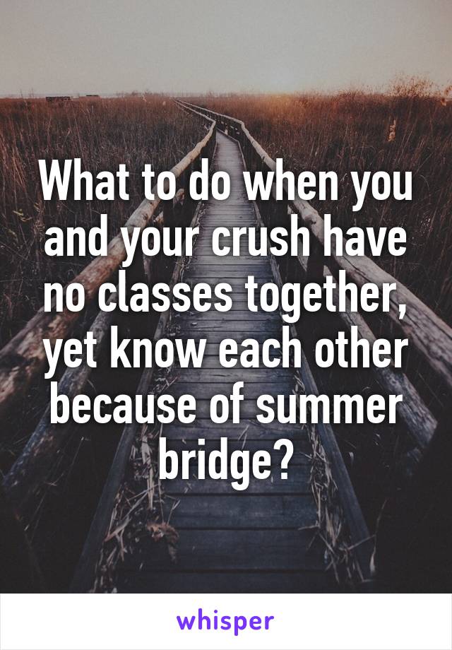 What to do when you and your crush have no classes together, yet know each other because of summer bridge?