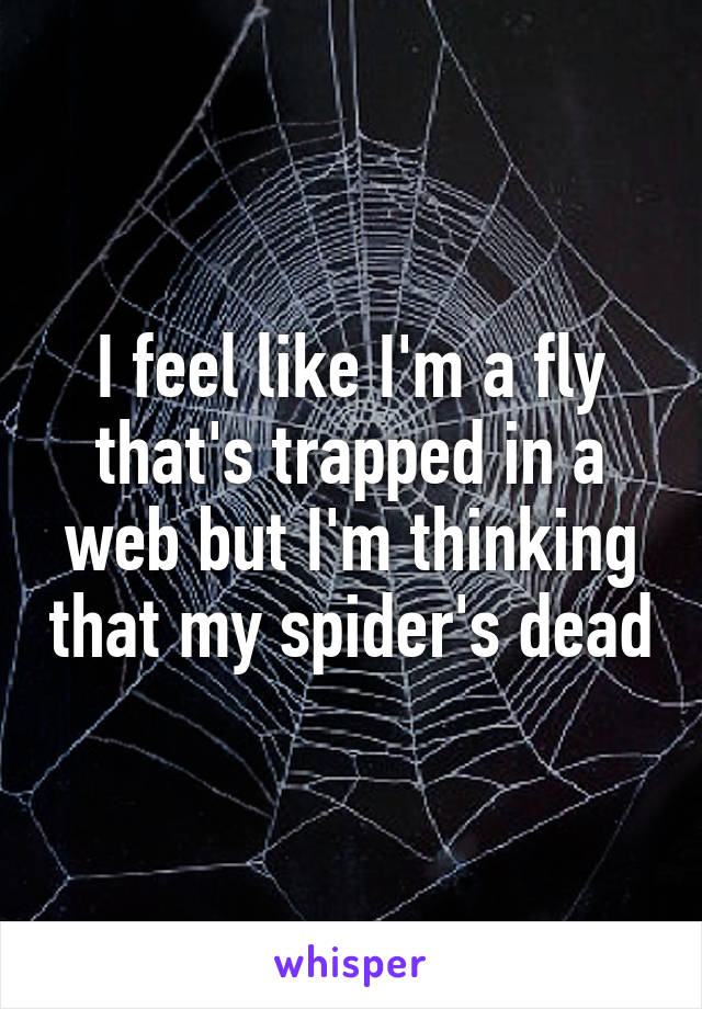 I feel like I'm a fly that's trapped in a web but I'm thinking that my spider's dead
