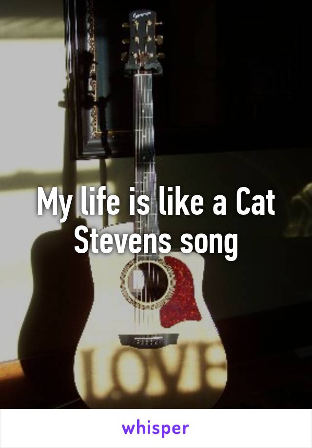 My life is like a Cat Stevens song