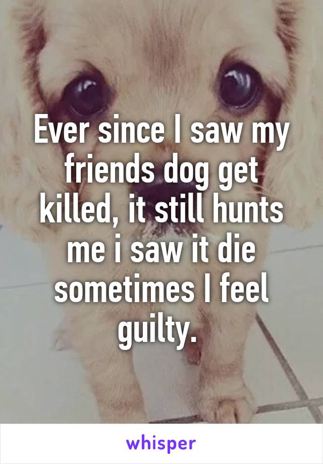 Ever since I saw my friends dog get killed, it still hunts me i saw it die sometimes I feel guilty. 