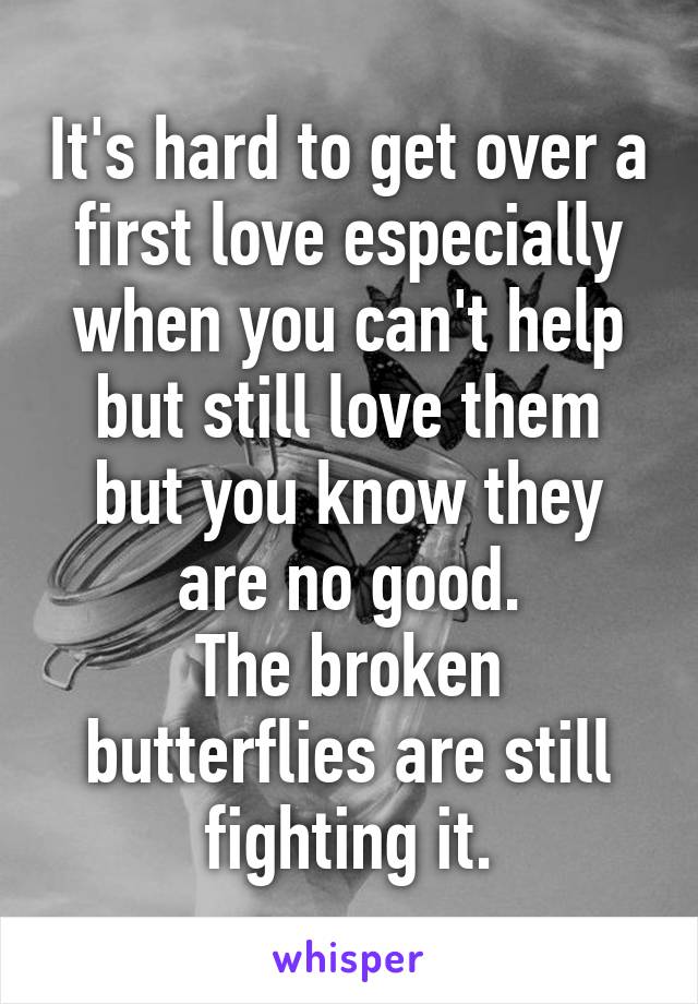 It's hard to get over a first love especially when you can't help but still love them but you know they are no good.
The broken butterflies are still fighting it.