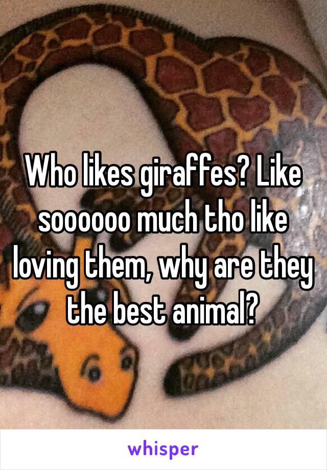 Who likes giraffes? Like soooooo much tho like loving them, why are they the best animal?