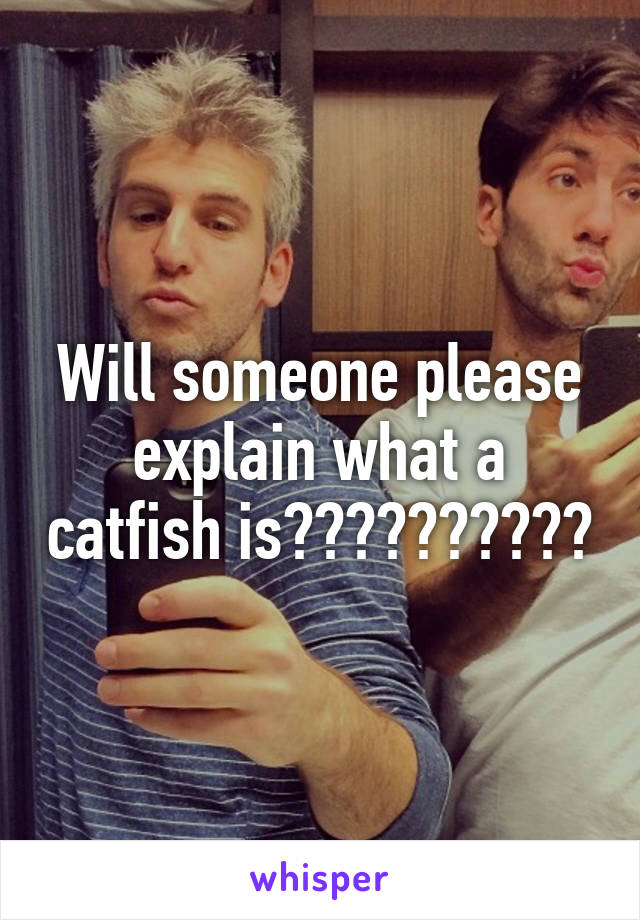 Will someone please explain what a catfish is??????????
