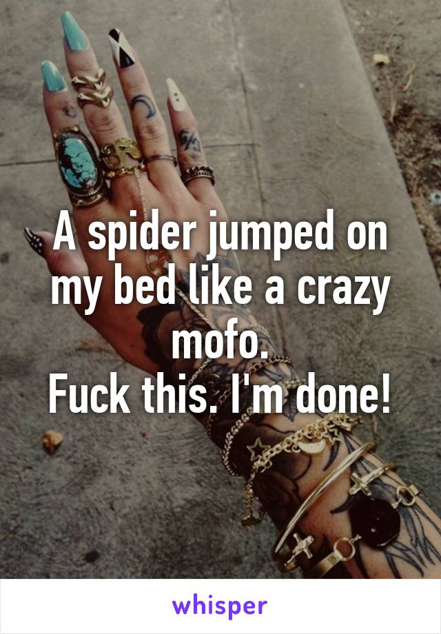 A spider jumped on my bed like a crazy mofo.
Fuck this. I'm done!