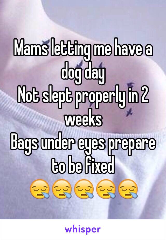 Mams letting me have a dog day
Not slept properly in 2 weeks
Bags under eyes prepare to be fixed
😪😪😪😪😪