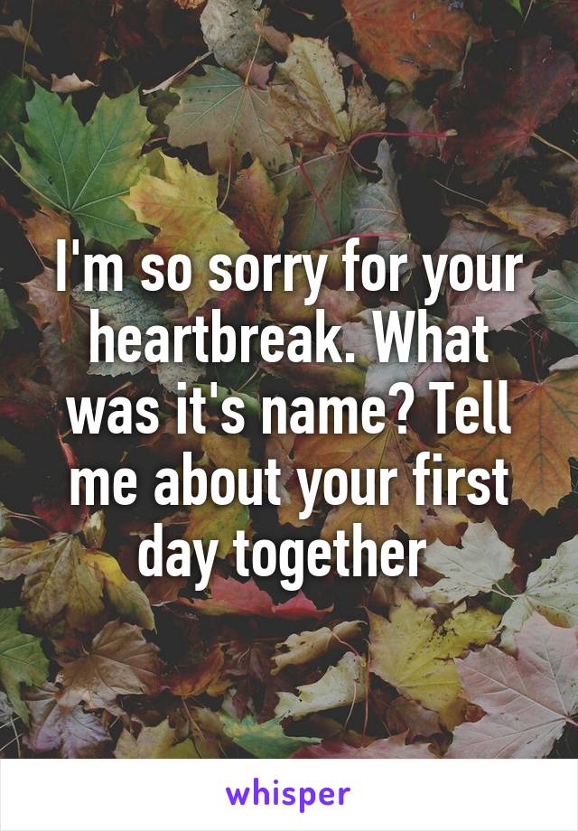 I'm so sorry for your heartbreak. What was it's name? Tell me about your first day together 