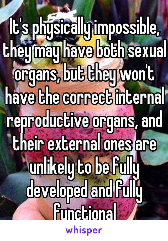 It's physically impossible, they may have both sexual organs, but they won't have the correct internal reproductive organs, and their external ones are unlikely to be fully developed and fully functional