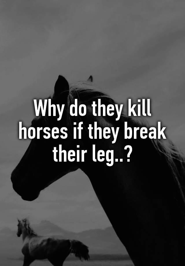 Why do they kill horses if they break their leg..?