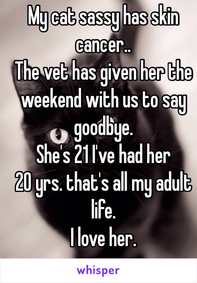 My cat sassy has skin cancer.. 
The vet has given her the weekend with us to say goodbye. 
She's 21 I've had her 
20 yrs. that's all my adult life. 
I love her. 