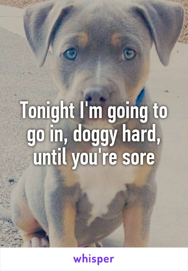 Tonight I'm going to go in, doggy hard, until you're sore