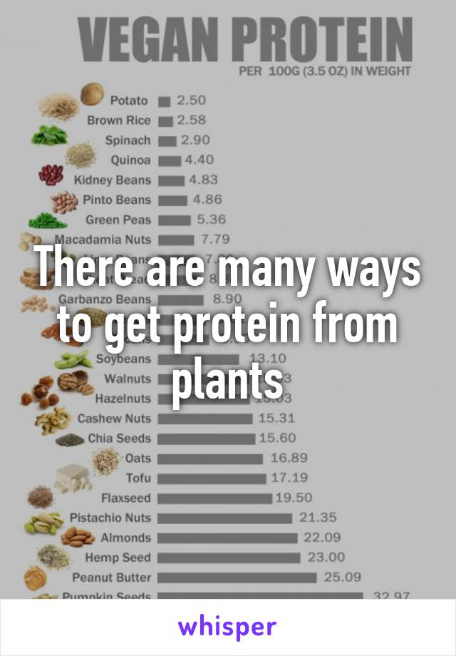There are many ways to get protein from plants