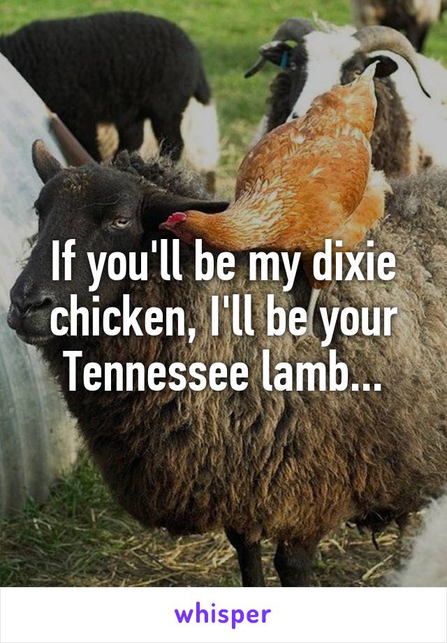 If you'll be my dixie chicken, I'll be your Tennessee lamb...