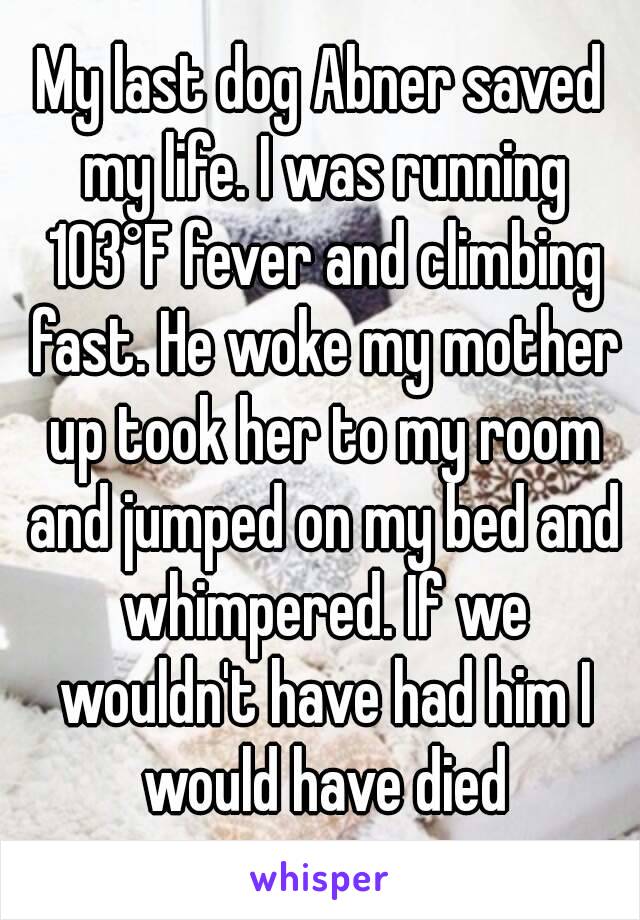 My last dog Abner saved my life. I was running 103°F fever and climbing fast. He woke my mother up took her to my room and jumped on my bed and whimpered. If we wouldn't have had him I would have died