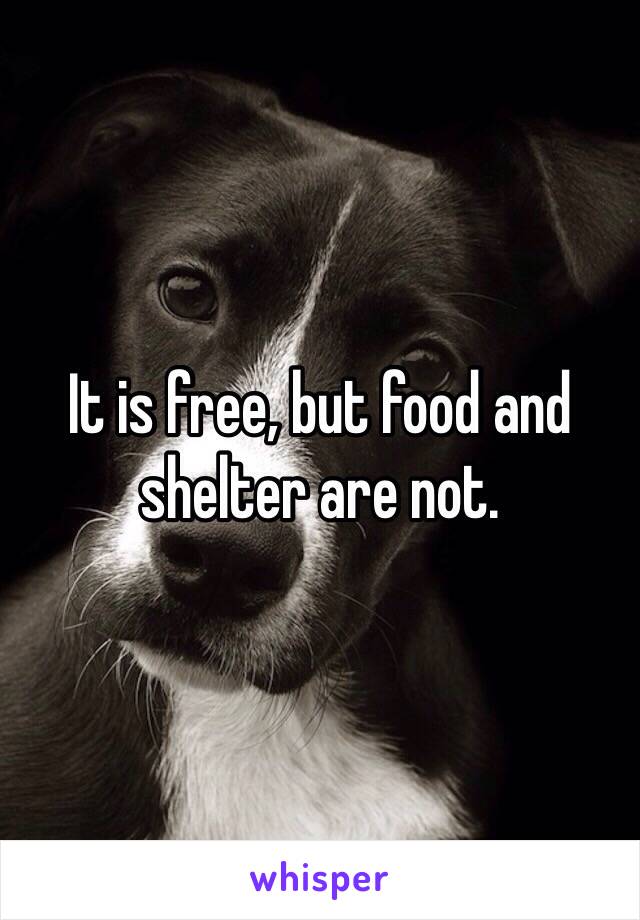 It is free, but food and shelter are not.