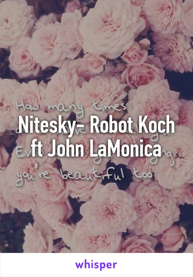 Nitesky- Robot Koch ft John LaMonica