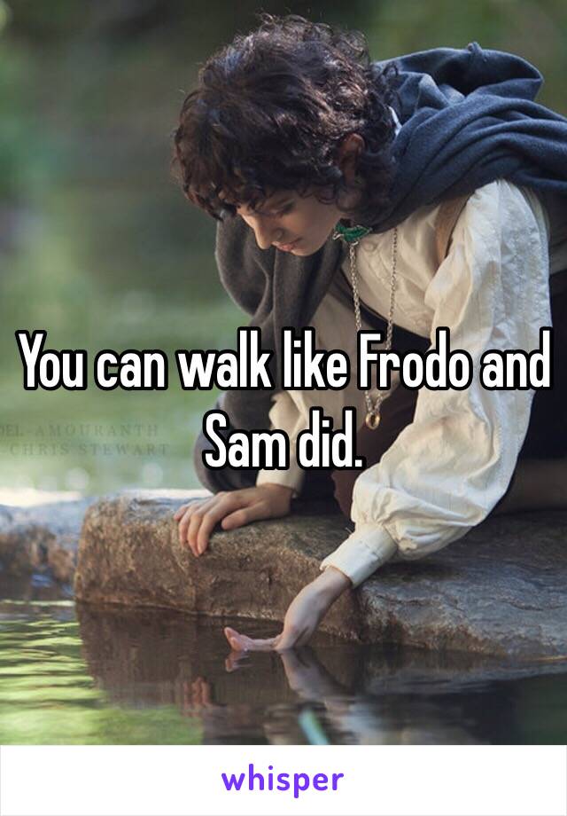 You can walk like Frodo and Sam did. 