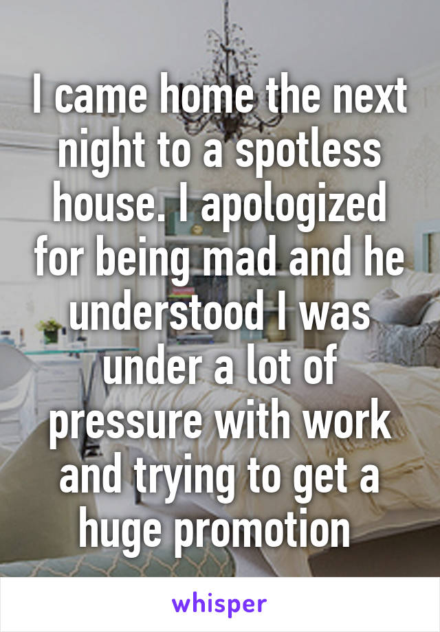 I came home the next night to a spotless house. I apologized for being mad and he understood I was under a lot of pressure with work and trying to get a huge promotion 