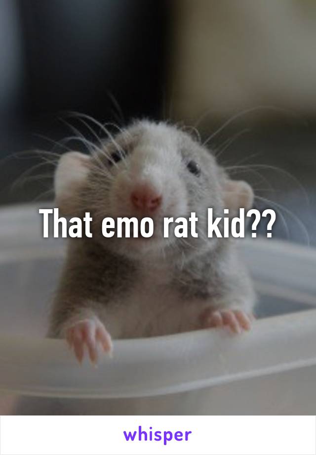 That emo rat kid??