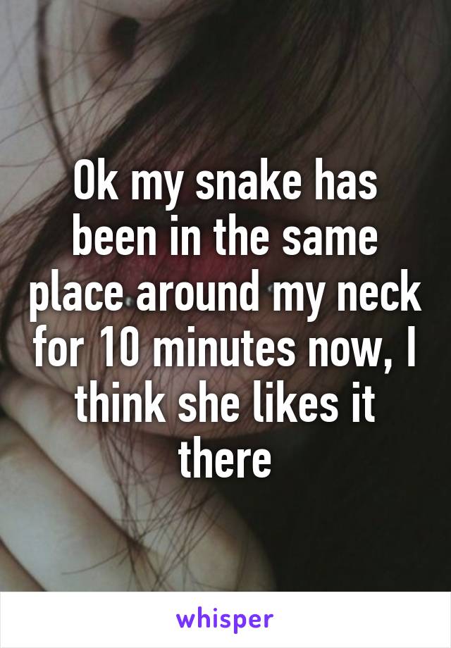 Ok my snake has been in the same place around my neck for 10 minutes now, I think she likes it there
