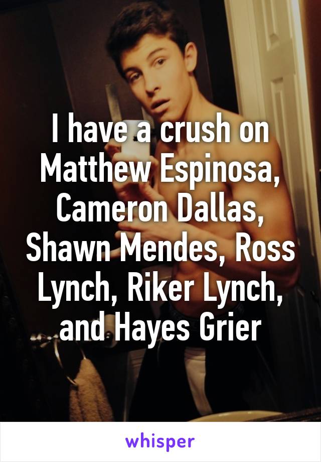 I have a crush on Matthew Espinosa, Cameron Dallas, Shawn Mendes, Ross Lynch, Riker Lynch, and Hayes Grier