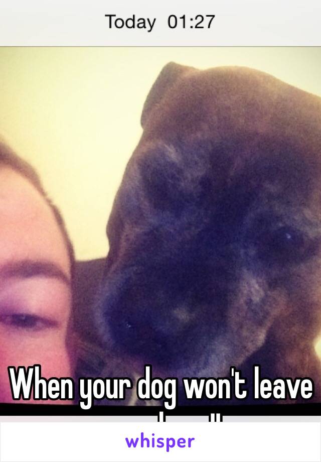 When your dog won't leave you alone !!