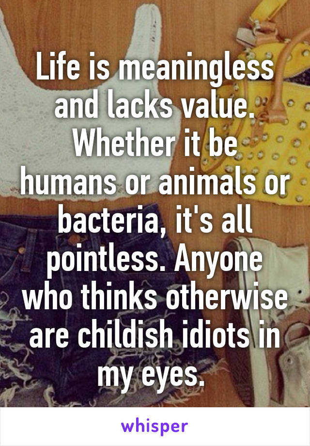 Life is meaningless and lacks value. Whether it be humans or animals or bacteria, it's all pointless. Anyone who thinks otherwise are childish idiots in my eyes. 