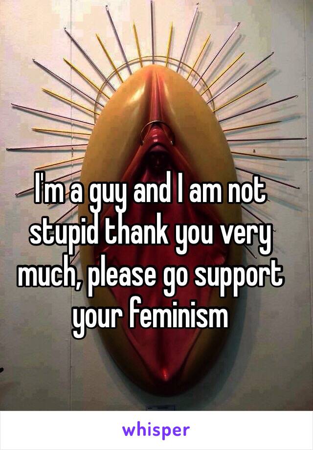 I'm a guy and I am not stupid thank you very much, please go support your feminism 