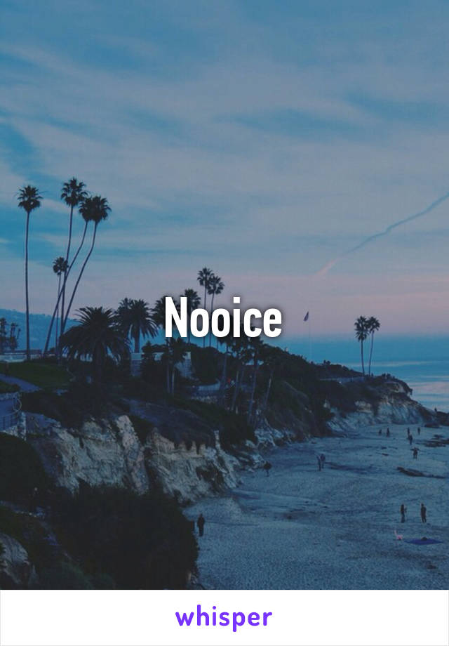 Nooice