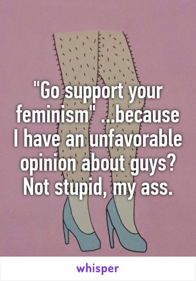 "Go support your feminism" ...because I have an unfavorable opinion about guys? Not stupid, my ass.