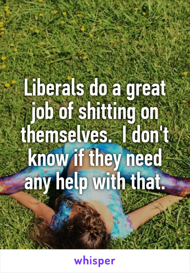 Liberals do a great job of shitting on themselves.  I don't know if they need any help with that.