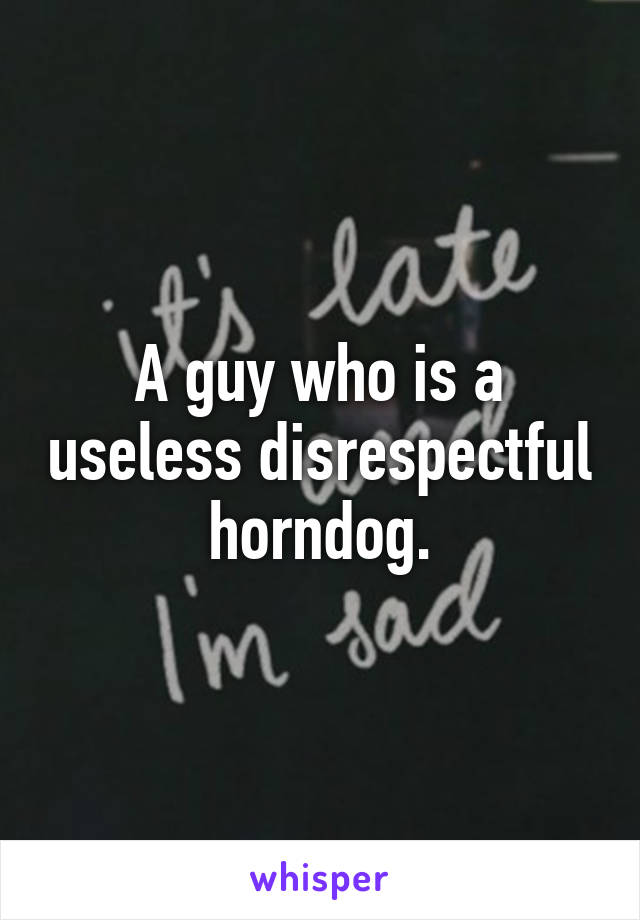 A guy who is a useless disrespectful horndog.