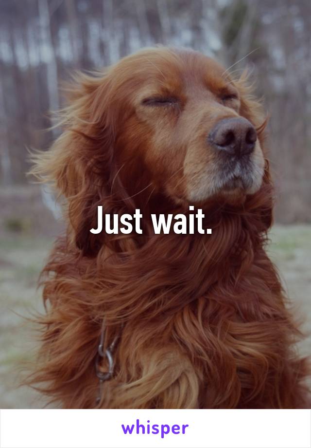 Just wait. 