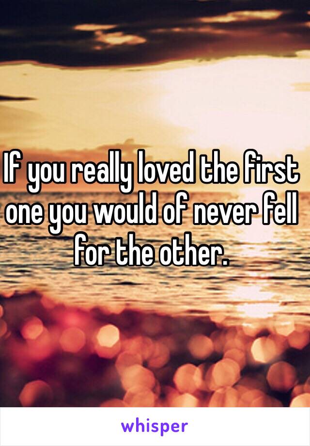 If you really loved the first one you would of never fell for the other. 