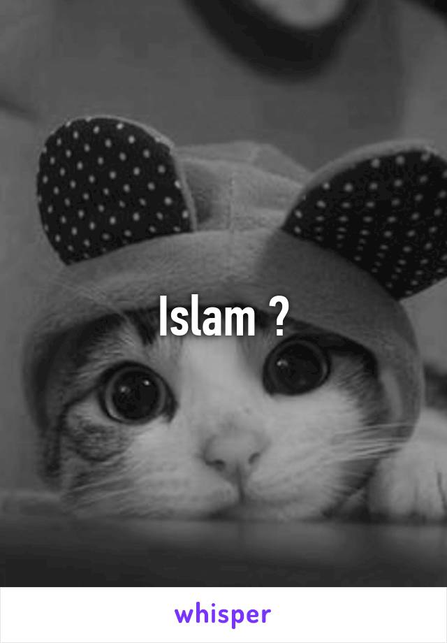 Islam ?