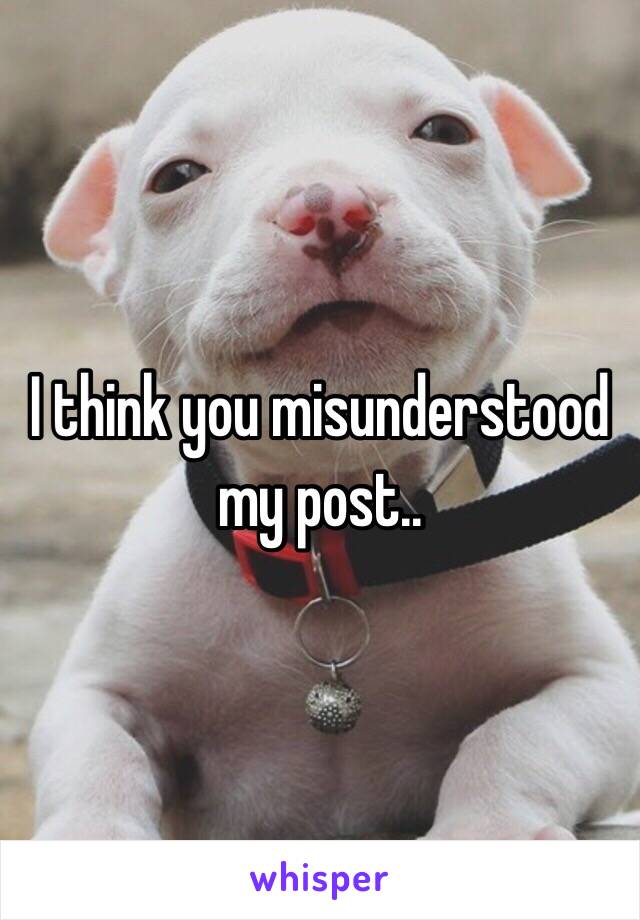 I think you misunderstood my post..