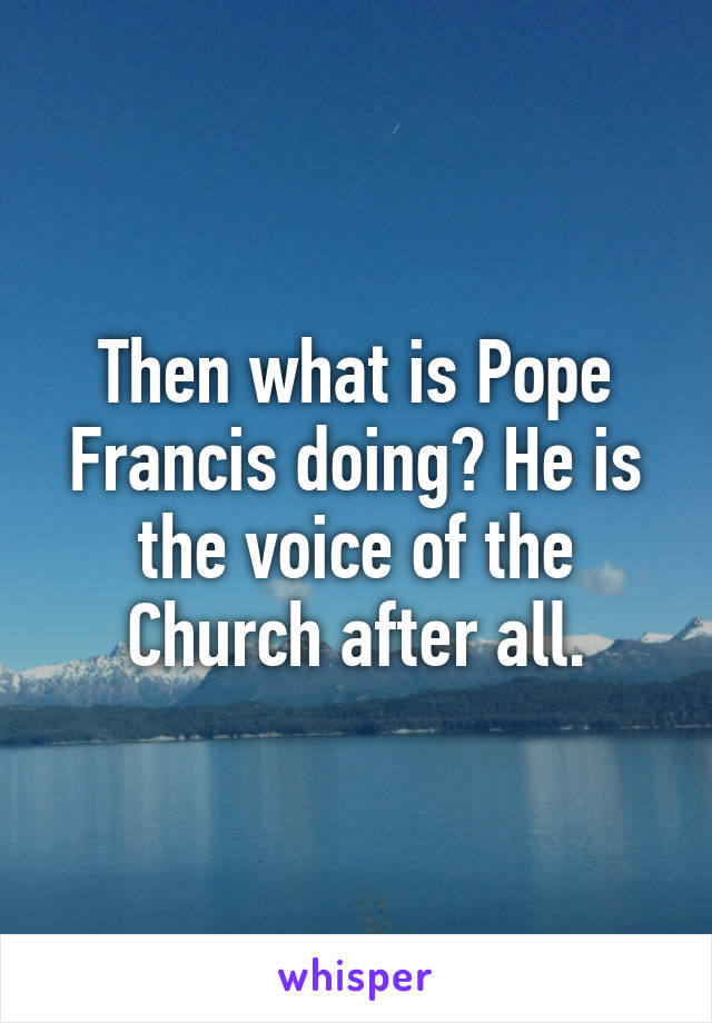 Then what is Pope Francis doing? He is the voice of the Church after all.